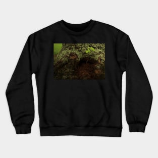 Magical Tree Stump Crewneck Sweatshirt